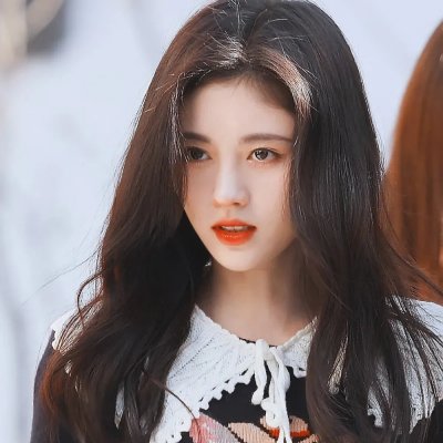菊石